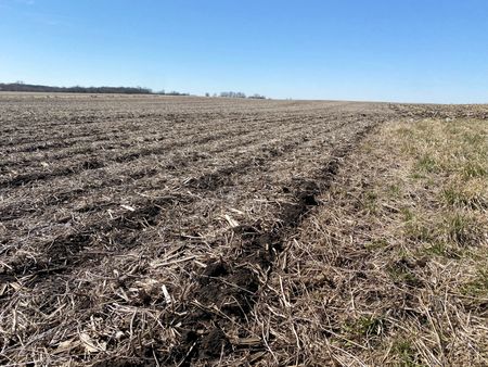 tagreuters.com2023binary_LYNXMPEJ350CQ-VIEWIMAGE