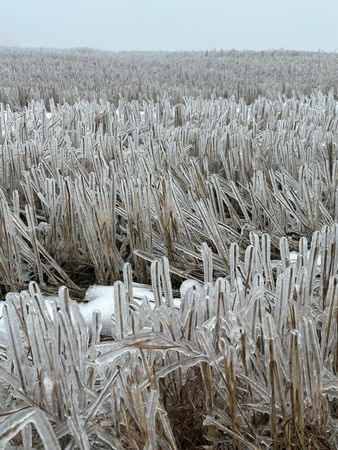 tagreuters.com2023binary_LYNXMPEJ3601C-VIEWIMAGE