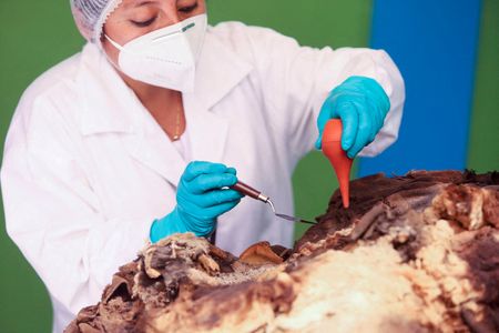 tagreuters.com2023binary_LYNXMPEJ3Q0RN-VIEWIMAGE