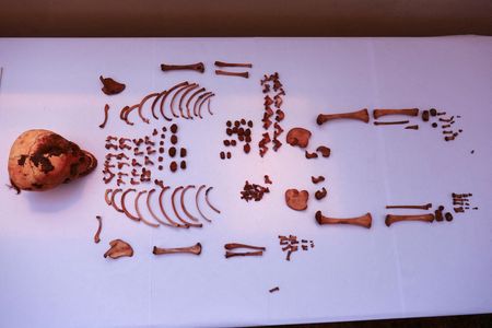 tagreuters.com2023binary_LYNXMPEJ3Q0RS-VIEWIMAGE