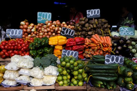 tagreuters.com2023binary_LYNXMPEJ3R11G-VIEWIMAGE