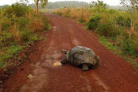 tagreuters.com2023binary_LYNXMPEJ4400G-VIEWIMAGE